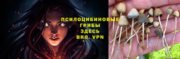 метадон Алзамай